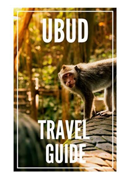 Ubud Travel Guide book cover