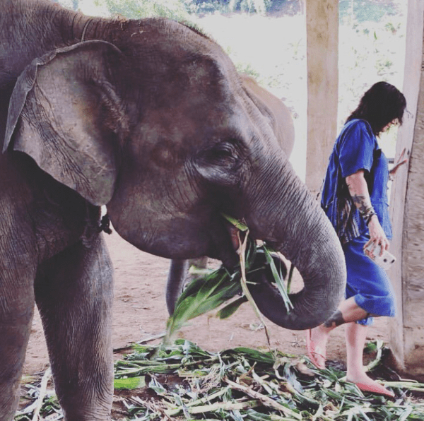 woman next to an elephant