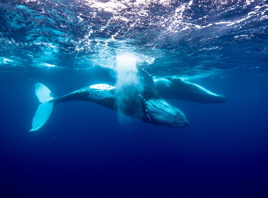 Instagram post from getouttheretours. This post is in position 13.