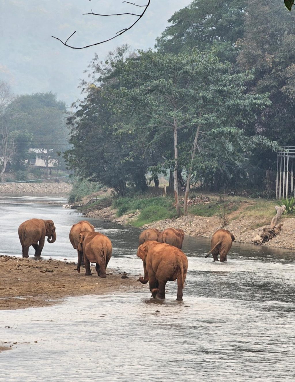 Instagram post from getouttheretours. This post is in position 18.