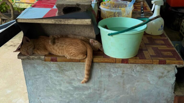 Instagram post from getouttheretours. This post is in position 14.