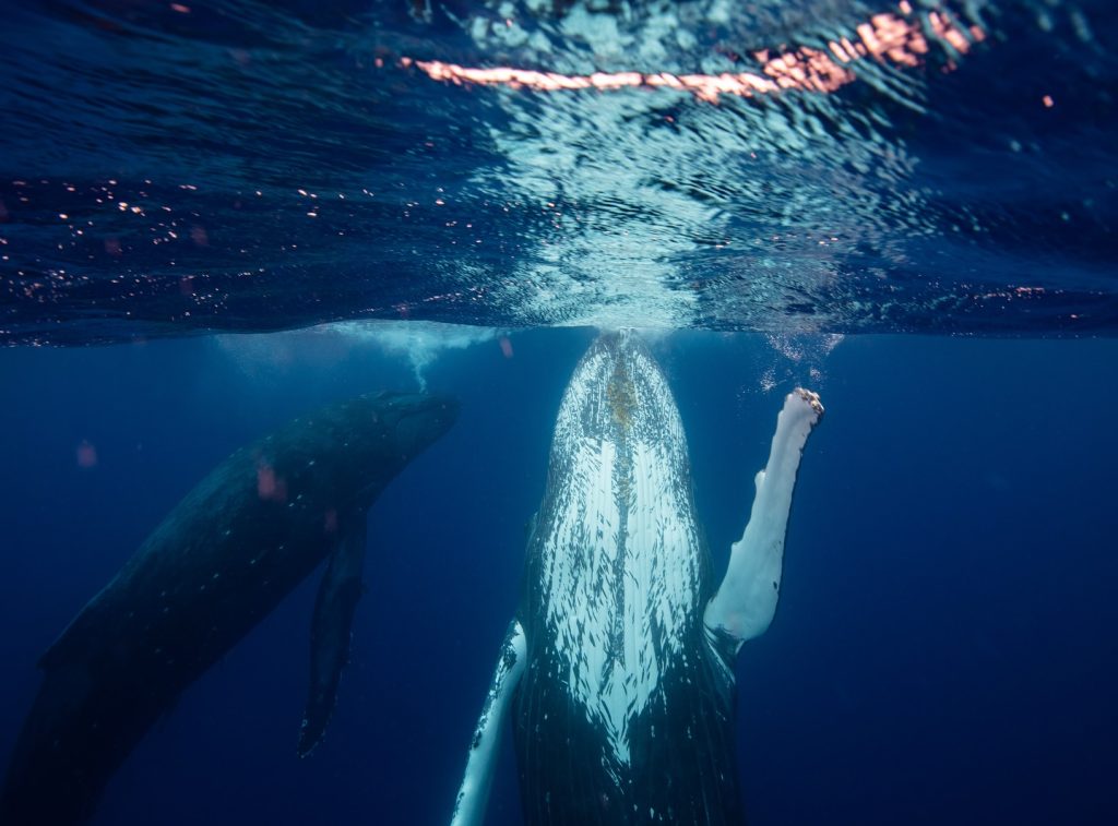 Instagram post from getouttheretours. This post is in position 10.