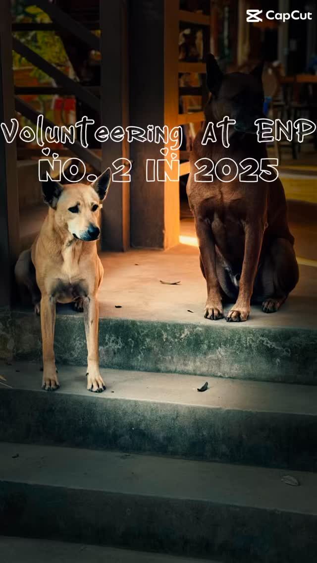 Instagram post from getouttheretours. This post is in position 1.