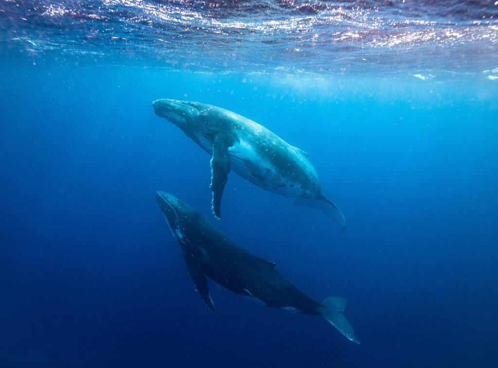 Instagram post from getouttheretours. This post is in position 16.