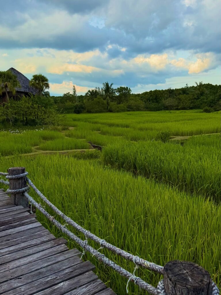 Instagram post from getouttheretours. This post is in position 11.