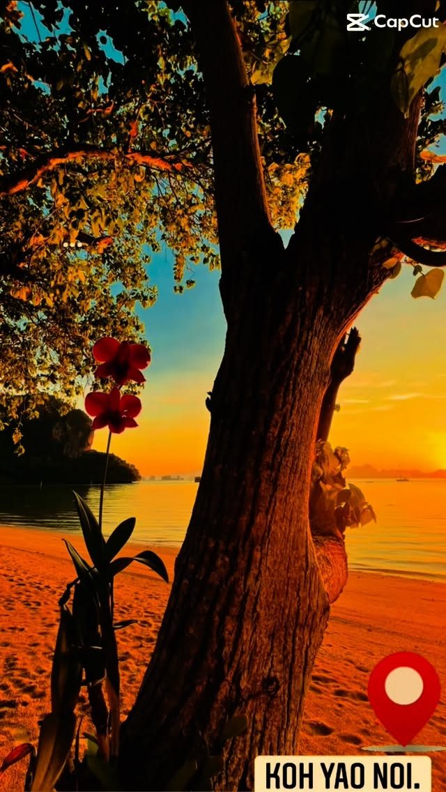 Instagram post from getouttheretours. This post is in position 6.