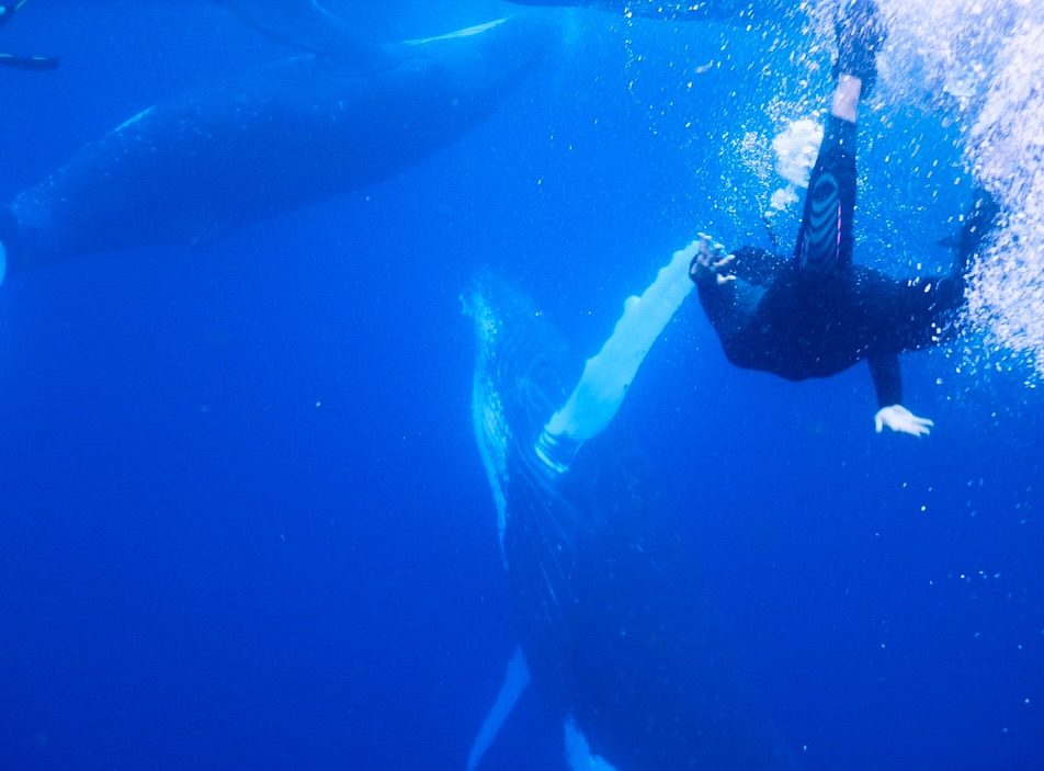 Instagram post from getouttheretours. This post is in position 0.