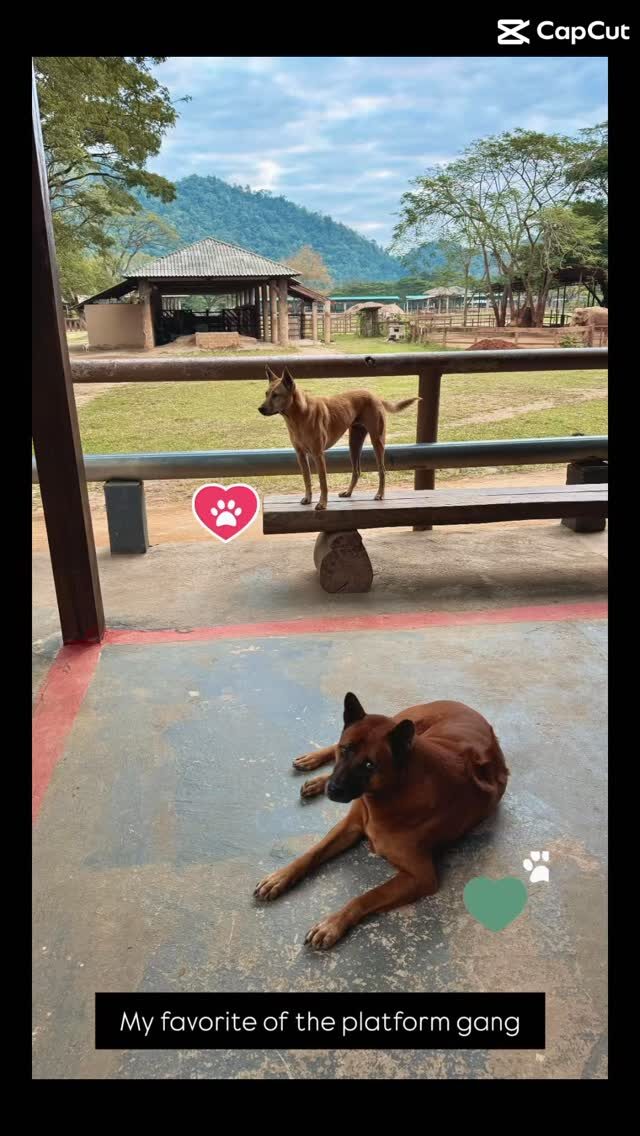 Instagram post from getouttheretours. This post is in position 2.