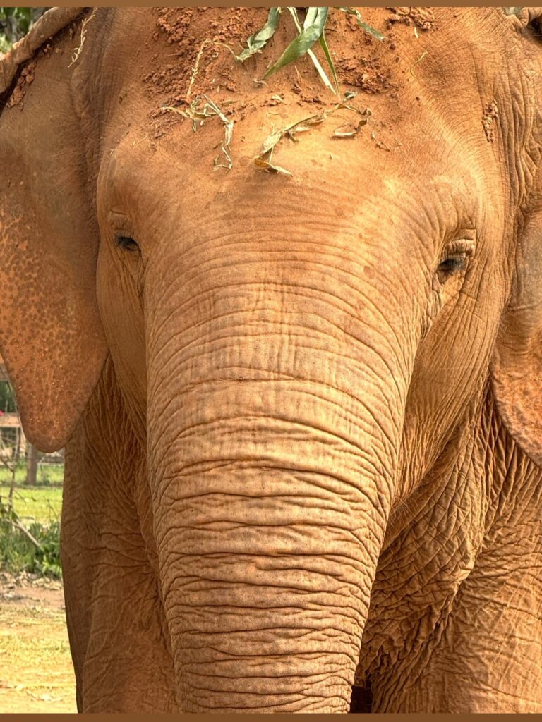 Instagram post from getouttheretours. This post is in position 1.