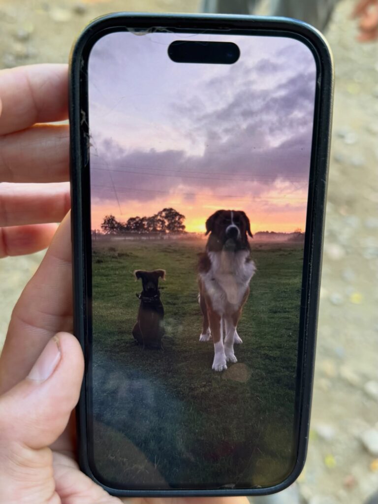 Instagram post from getouttheretours. This post is in position 3.