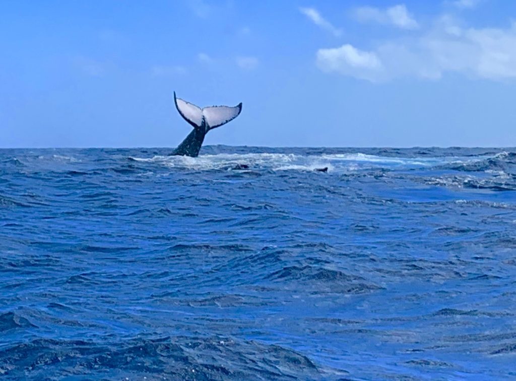 Instagram post from getouttheretours. This post is in position 7.