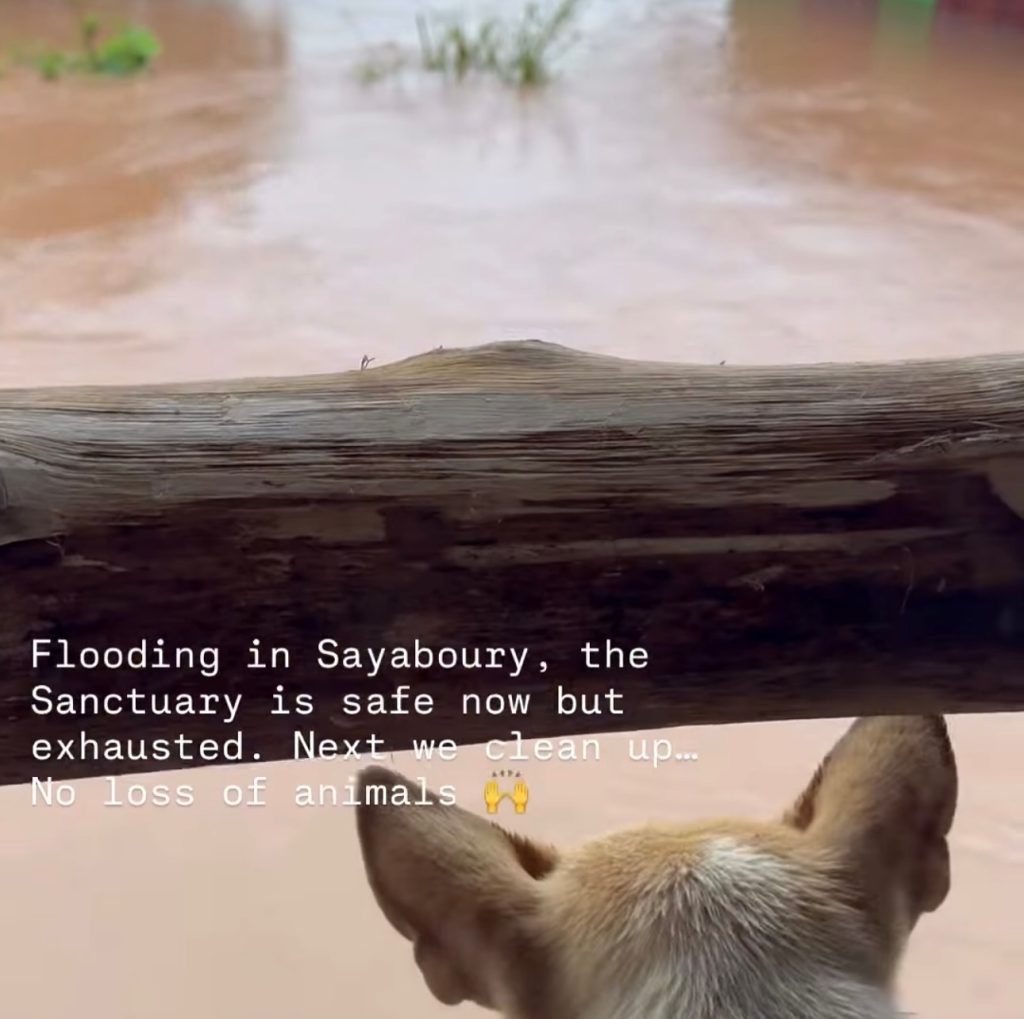 Instagram post from getouttheretours. This post is in position 1.