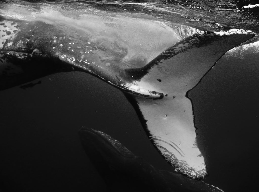 Instagram post from getouttheretours. This post is in position 8.