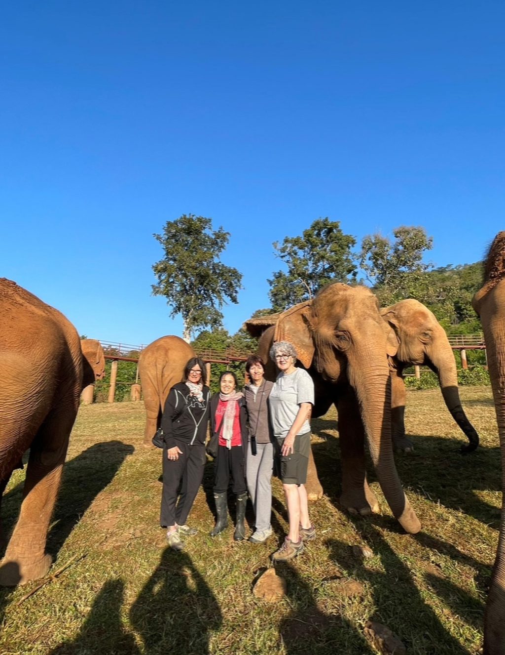 Instagram post from getouttheretours. This post is in position 12.