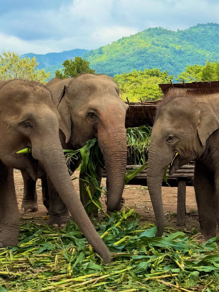 Instagram post from getouttheretours. This post is in position 7.