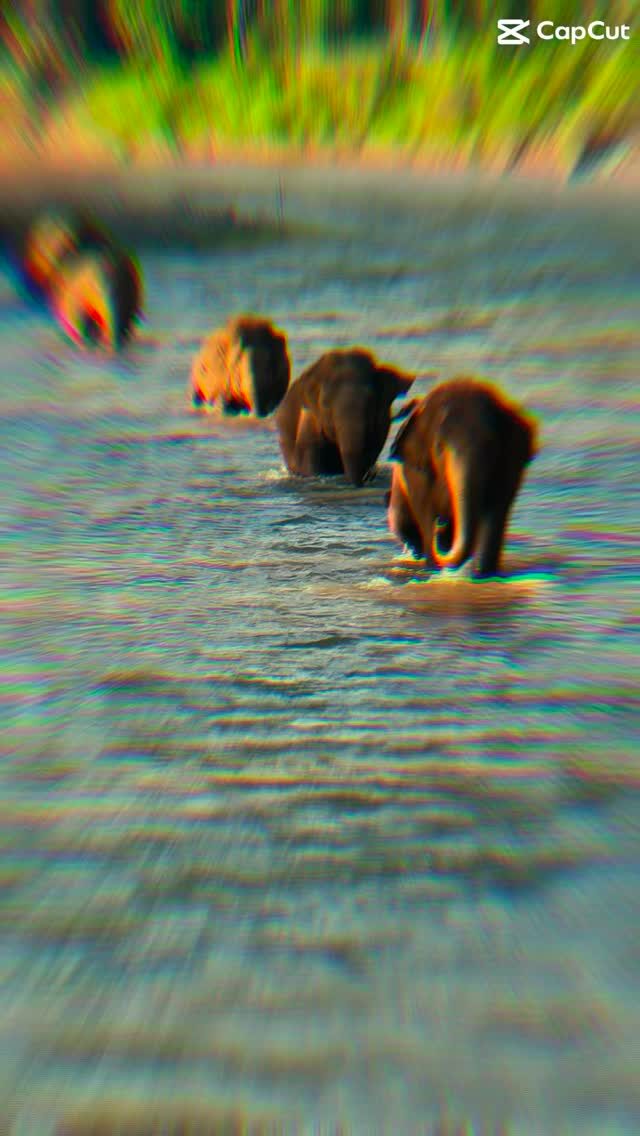 Instagram post from getouttheretours. This post is in position 4.