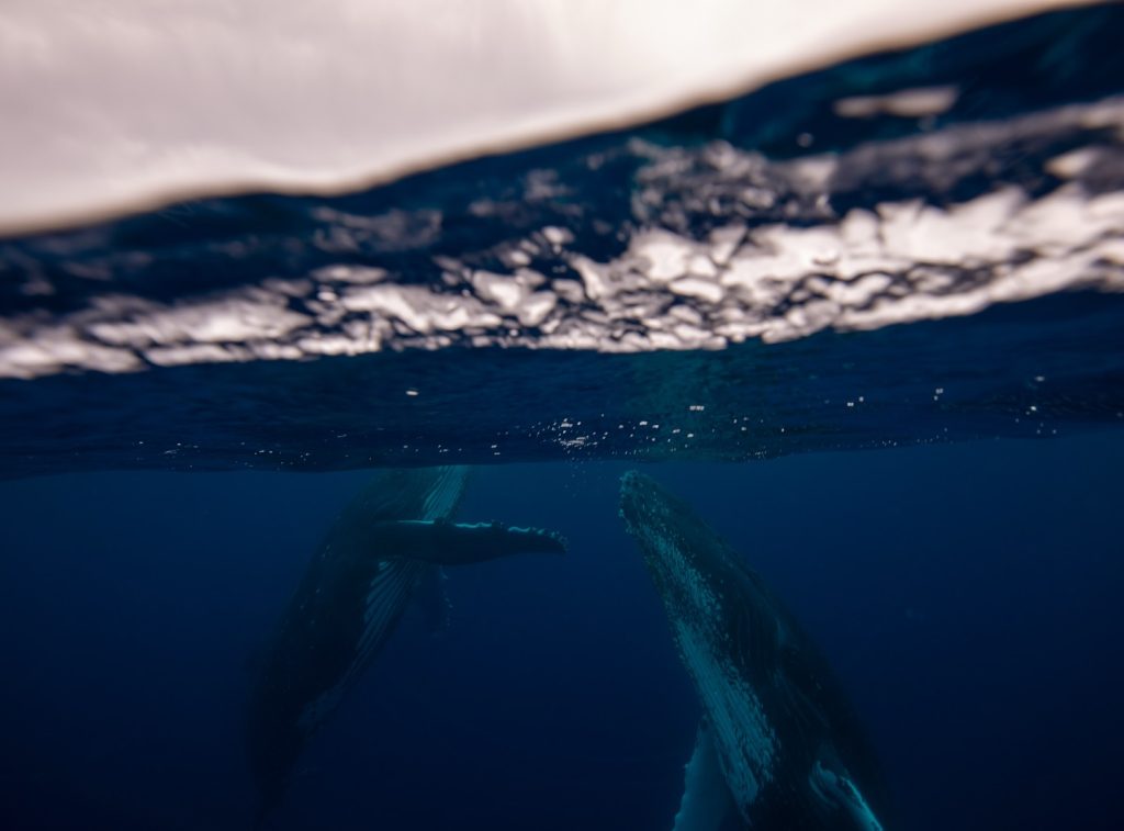 Instagram post from getouttheretours. This post is in position 14.