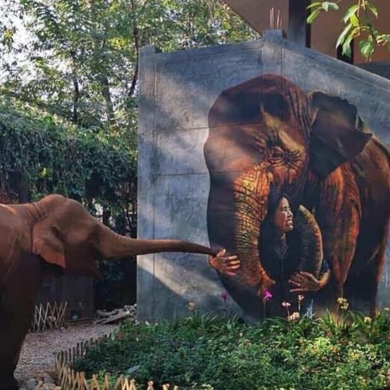 Instagram post from getouttheretours. This post is in position 15.