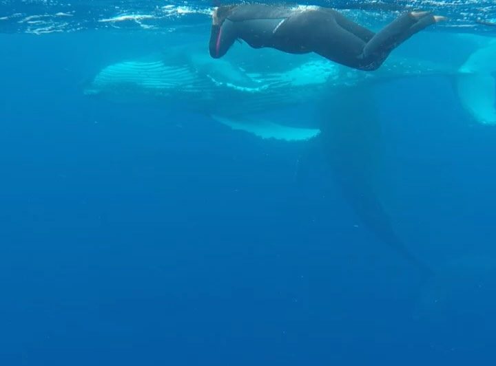 Instagram post from getouttheretours. This post is in position 18.